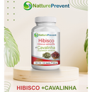 Hibisco com Cavalinha 500 mg 60 / 90 / 120 Cápsulas - Suplemento Alimentar Natural