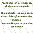 KIT LAVANDA + ALECRIM + MELALEUCA ÓLEO ESSENCIAL 100% C/ CONTA GOTAS