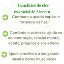 Óleo Essencial de Alecrim Indiano Florest Brasil 100% Puro