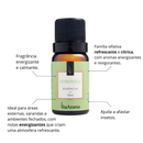 Essências Clássicas Via Aroma – 10ml | Aromatizador Elétrico | Fragrâncias Premium para Ambientes