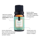 Essências Clássicas Via Aroma – 10ml | Aromatizador Elétrico | Fragrâncias Premium para Ambientes