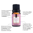 Essências Clássicas Via Aroma – 10ml | Aromatizador Elétrico | Fragrâncias Premium para Ambientes