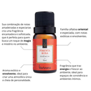 Essências Clássicas Via Aroma – 10ml | Aromatizador Elétrico | Fragrâncias Premium para Ambientes