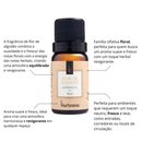 Essências Clássicas Via Aroma – 10ml | Aromatizador Elétrico | Fragrâncias Premium para Ambientes