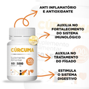 Cúrcuma Longa Açafrão – 60 Cápsulas 500mg | Envio Imediato
